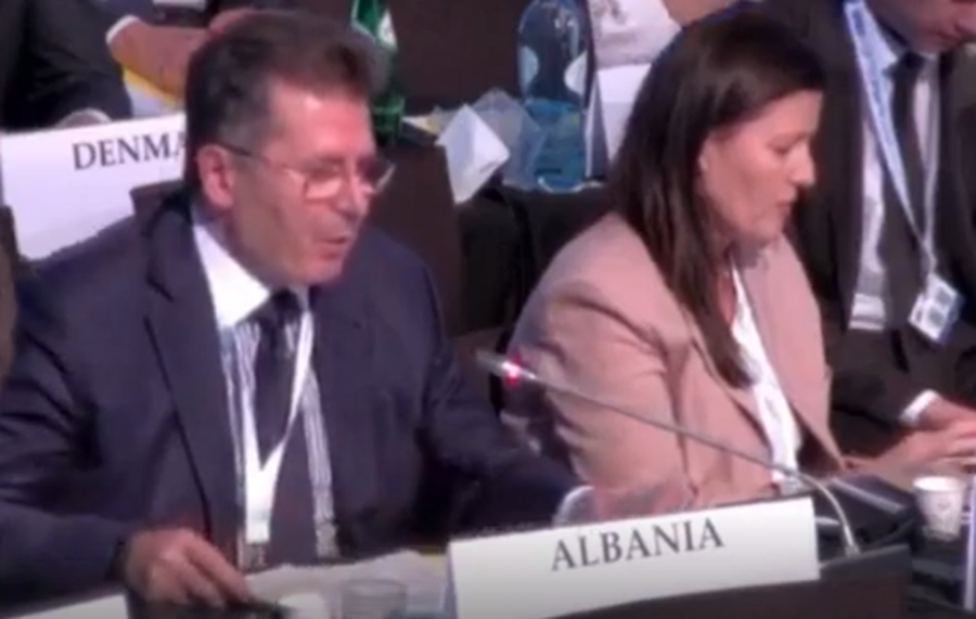 Mediu paraqet 'provat' për 11 majin në OSCE: Një