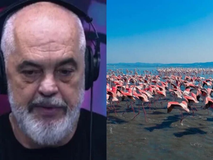 &ldquo;Projekti n&euml; Zv&euml;rnec do b&euml;het patjet&euml;r&rdquo;/ Rama: