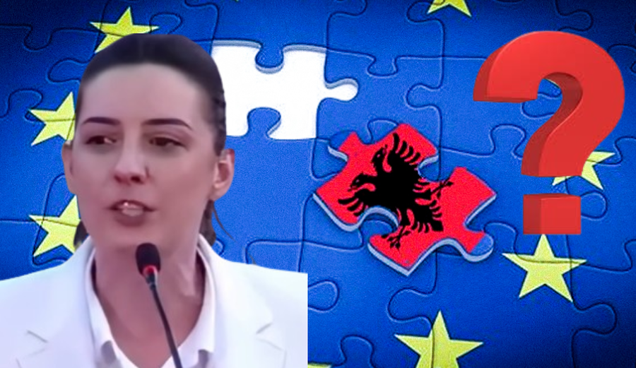 Shqip&euml;ria n&euml; Bashkimin Europian, apo...? Zegjine &Ccedil;aushi godet