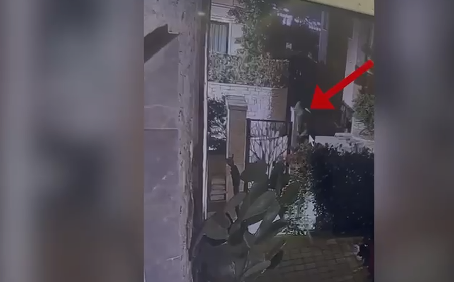 I maskuar me arm&euml;! 53-vje&ccedil;ari kapet 'mat' teksa po hynte