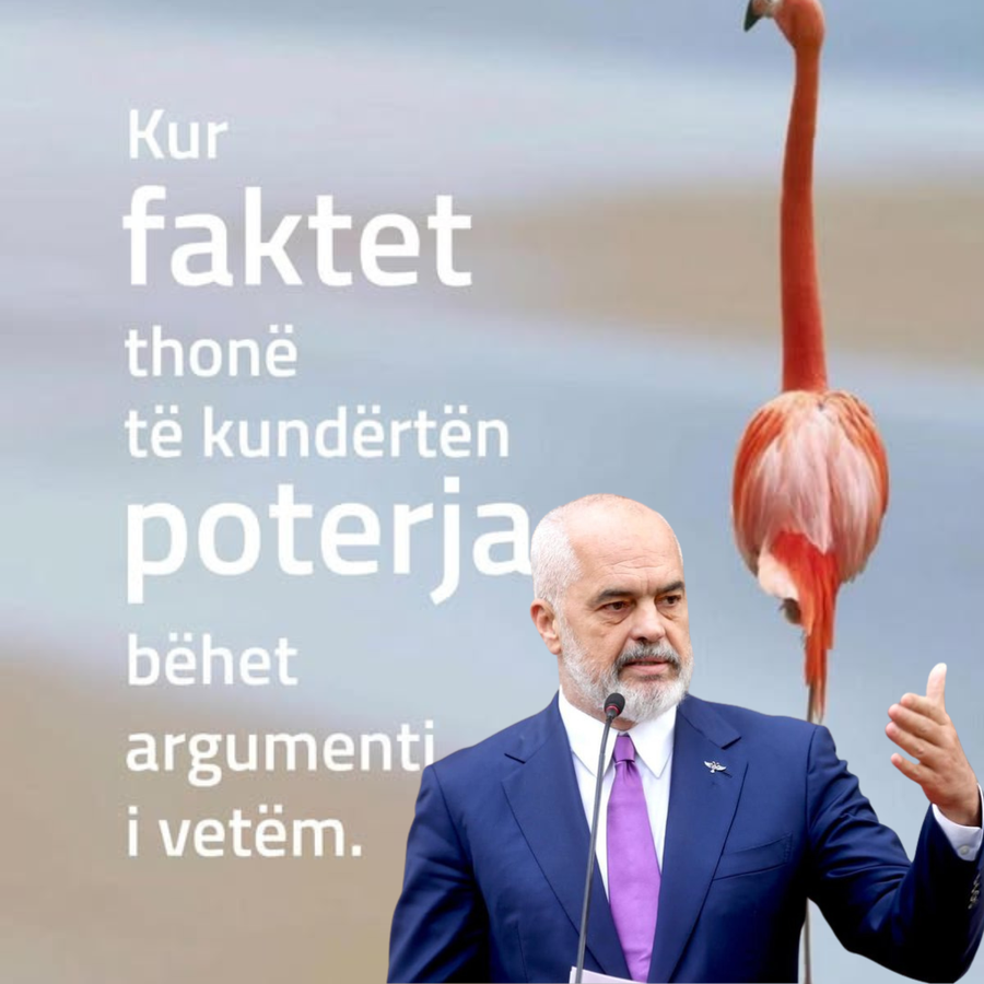 Projektet p&euml;r Sazanin dhe Zv&euml;rnecin, Rama publikon