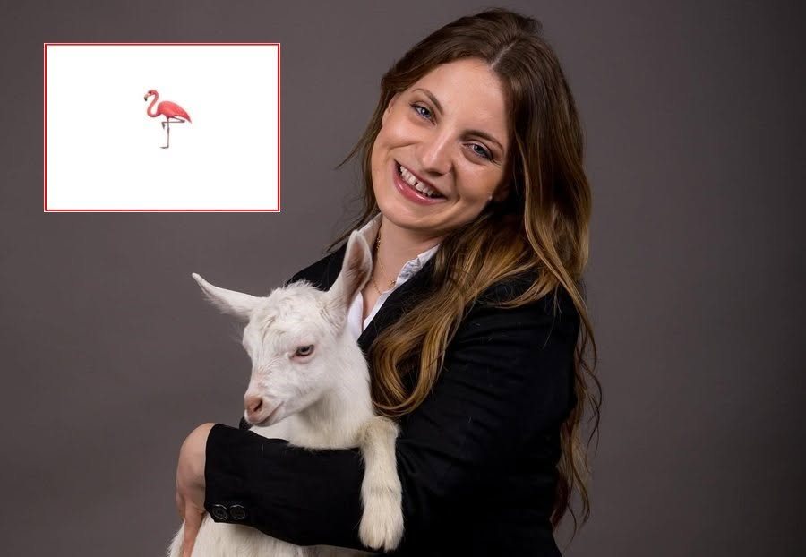 Marjana Ko&ccedil;eku sfid&euml; PS dhe Ram&euml;s: N&euml;se mendoni se nuk