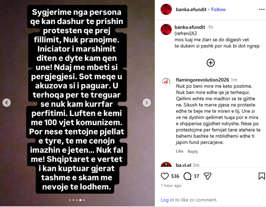 Protestuesit të ndarë në grupe? Qytetarja: Kush është