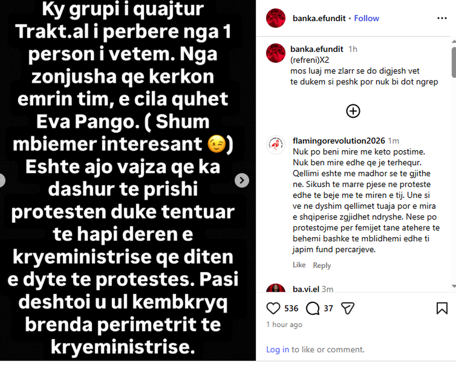 Protestuesit të ndarë në grupe? Qytetarja: Kush është