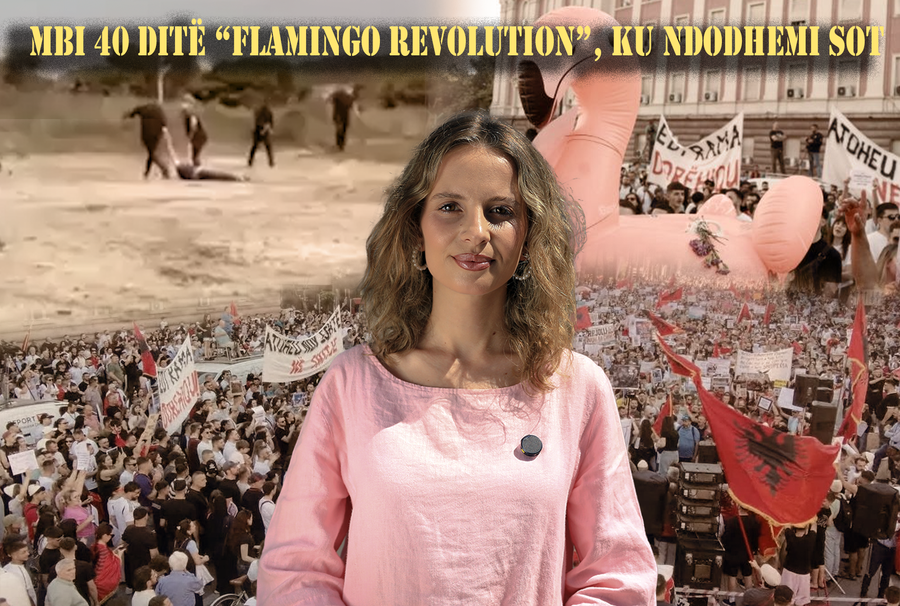 Mbi 40 dit&euml; &ldquo;Flamingo Revolution&rdquo;, ku ndodhemi sot
