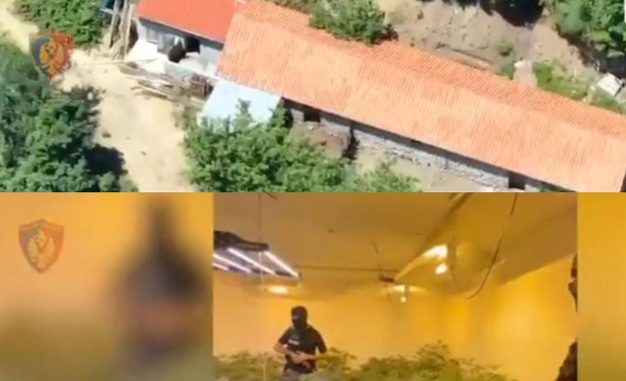 Parcelat me hashash, zbulohet "ferma" e kanabisit n&euml; Lezh&euml;: