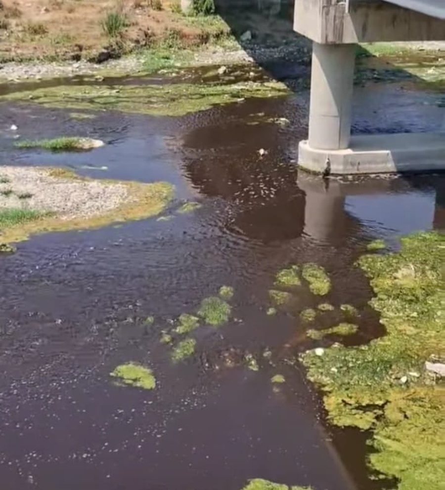 Masak&euml;r mjedisore n&euml; lumin Erzen! Pamje shqet&euml;suese nga ura e
