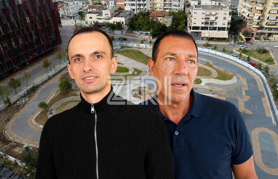 MANOVRA/ Si u shpron&euml;sua toka te 'Air Albania' pas planeve